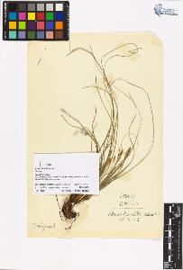SW_BNB_s3070-06317_IMG-0000000001