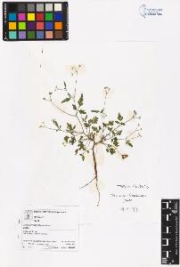 SW_BNB_s3070-06318_IMG-0000000001