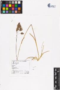 SW_BNB_s3070-06323_IMG-0000000001