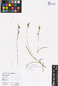 SW_BNB_s3070-06324_IMG-0000000001