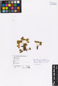 SW_BNB_s3070-06325_IMG-0000000001