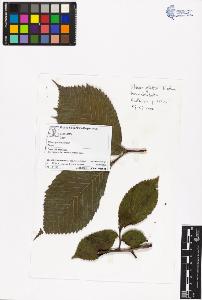 SW_BNB_s3070-06326_IMG-0000000001