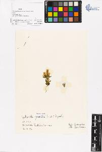SW_BNB_s3070-06330_IMG-0000000001