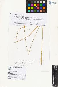 SW_BNB_s3070-06332_IMG-0000000001