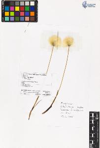 SW_BNB_s3070-06333_IMG-0000000001