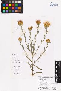 SW_BNB_s3070-06334_IMG-0000000001
