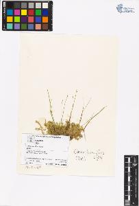 SW_BNB_s3070-06338_IMG-0000000001