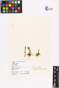 SW_BNB_s3070-06339_IMG-0000000001