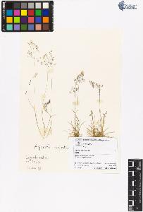 SW_BNB_s3070-06340_IMG-0000000001