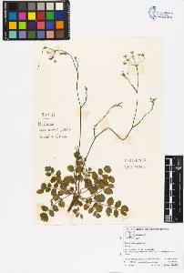 SW_BNB_s3070-06349_IMG-0000000001