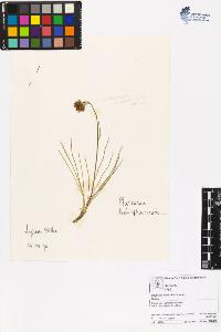 SW_BNB_s3070-06351_IMG-0000000001