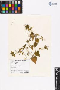 SW_BNB_s3070-06376_IMG-0000000001