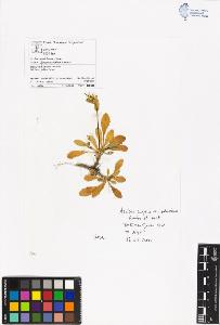 SW_BNB_s3070-06377_IMG-0000000001