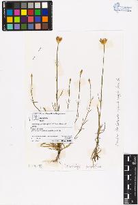 SW_BNB_s3070-06383_IMG-0000000001