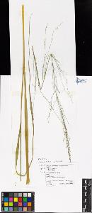 SW_BNB_s3070-06385_IMG-0000000001