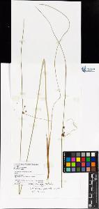 SW_BNB_s3070-06386_IMG-0000000001