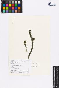 SW_BNB_s3070-06394_IMG-0000000001