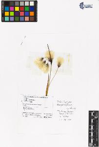SW_BNB_s3070-06398_IMG-0000000001