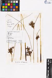 SW_BNB_s3070-06401_IMG-0000000001
