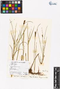 SW_BNB_s3070-06402_IMG-0000000001
