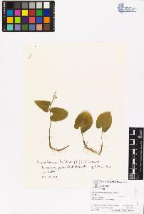 SW_BNB_s3070-06405_IMG-0000000001