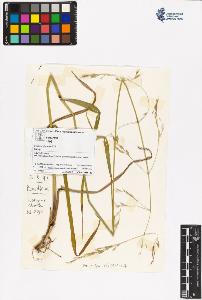 SW_BNB_s3070-06411_IMG-0000000001