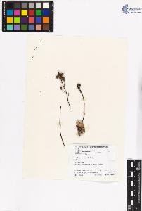 SW_BNB_s3070-06415_IMG-0000000001