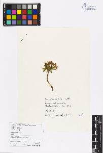 SW_BNB_s3070-06416_IMG-0000000001