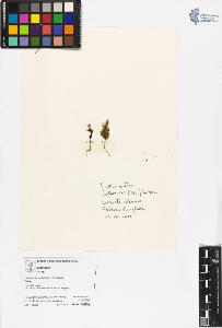 SW_BNB_s3070-06417_IMG-0000000001