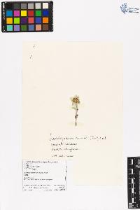 SW_BNB_s3070-06418_IMG-0000000001