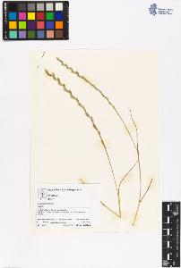 SW_BNB_s3070-06428_IMG-0000000001