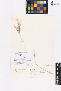 SW_BNB_s3070-06438_IMG-0000000001
