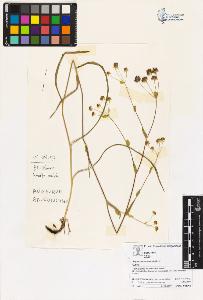 SW_BNB_s3070-06447_IMG-0000000001
