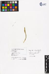 SW_BNB_s3070-06456_IMG-0000000001