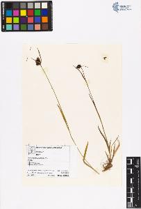SW_BNB_s3070-06457_IMG-0000000001