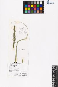 SW_BNB_s3070-06458_IMG-0000000001