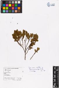 SW_BNB_s3070-06459_IMG-0000000001