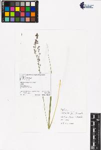 SW_BNB_s3070-06462_IMG-0000000001