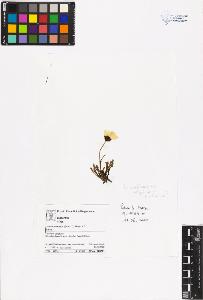 SW_BNB_s3070-06463_IMG-0000000001