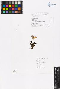SW_BNB_s3070-06466_IMG-0000000001