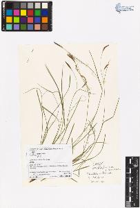 SW_BNB_s3070-06469_IMG-0000000001