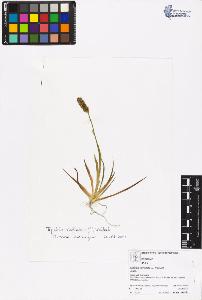 SW_BNB_s3070-06473_IMG-0000000001