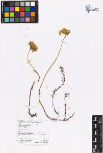 SW_BNB_s3070-06476_IMG-0000000001
