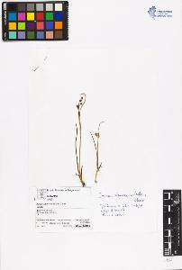 SW_BNB_s3070-06477_IMG-0000000001