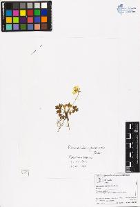 SW_BNB_s3070-06479_IMG-0000000001