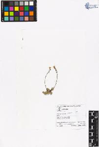 SW_BNB_s3070-06481_IMG-0000000001