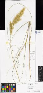 SW_BNB_s3070-06483_IMG-0000000001