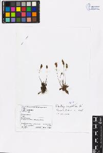 SW_BNB_s3070-06487_IMG-0000000001