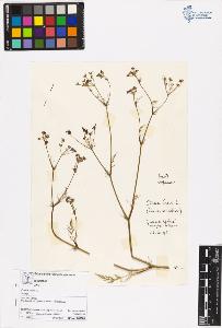 SW_BNB_s3070-06488_IMG-0000000001