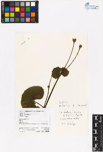 SW_BNB_s3070-06493_IMG-0000000001